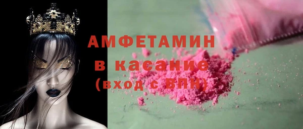 индика Пестово