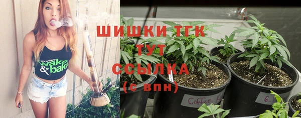 винт Арсеньев