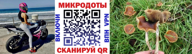 Галлюциногенные грибы GOLDEN TEACHER  Тара 